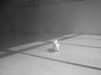 http://www.geirthrudur.com/files/gimgs/th-10_10_dsc00730.jpg